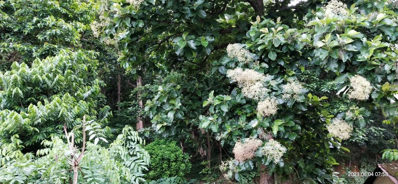 Floral Homestay Thekkady Exterior photo